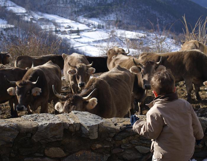 Can Janpere I Pardines Dış mekan fotoğraf